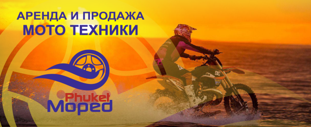 Работа 3361081