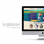 Landing Page (EKZODERM избавление от 7 видов экзем)