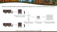 Презентация для выступления "Лесная Сертификация"