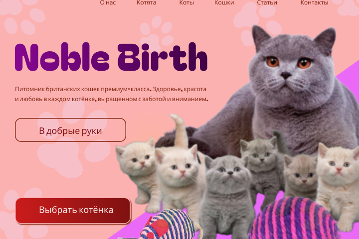 Питомник кошек