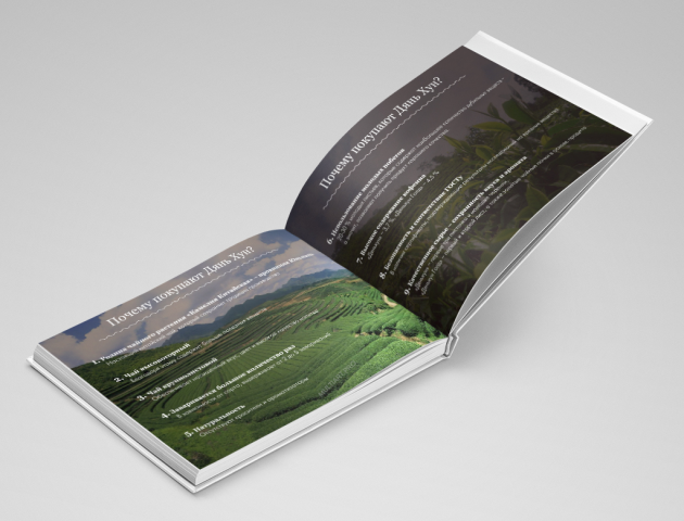 Презентация КП чай Дьян Хун