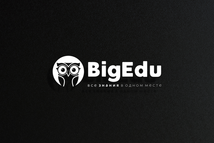 Разработка логотипа для BigEdu