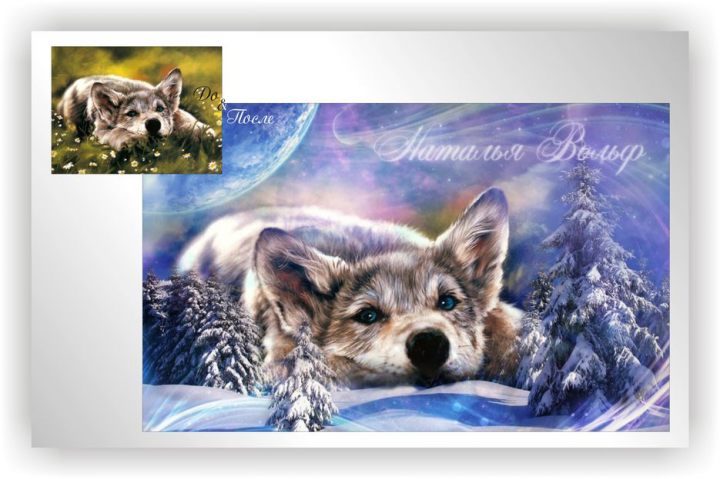 Обработка Картинки (Волчонок)