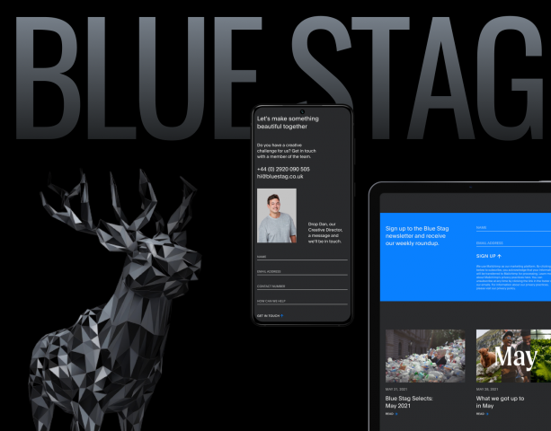 Редизайн сайта цифрового агентства Blue Stag
