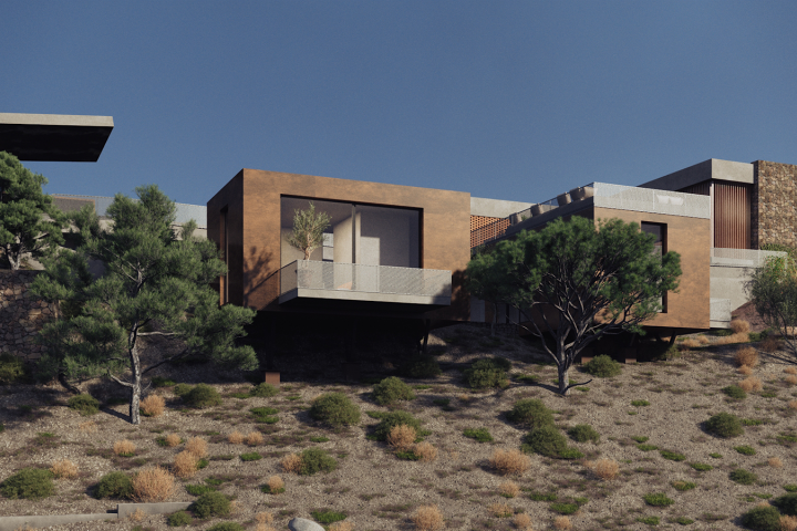 ������������ ���� �� ����� � ���������