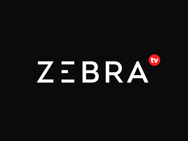 Логотпи для сайта новостей Владимирской области - Zebra tv