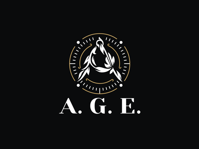 Логотип для проектной органицаии - A.G.E