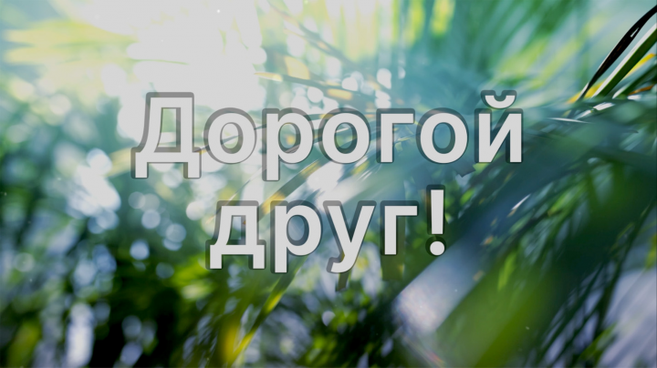 Офис про.