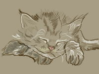 Спящий котенок
