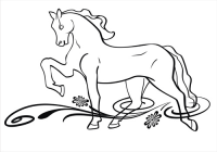 Конь на лугу.Horse in a meadow