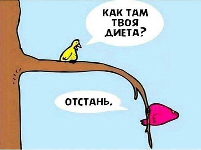 Простые правила питания. как обмануть голод