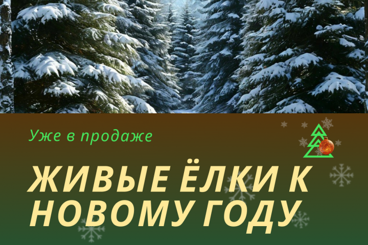 Баннер для магазина на Авито