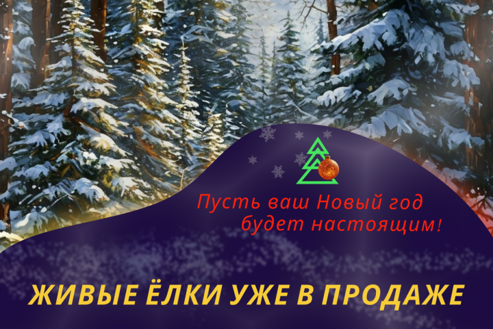 Баннер для авито