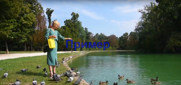 Видео гид для турагентства