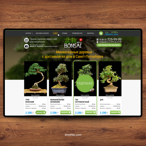 Bonsai.spb.ru / Миниатюрные деревья Бонсай с доставкой на дом.