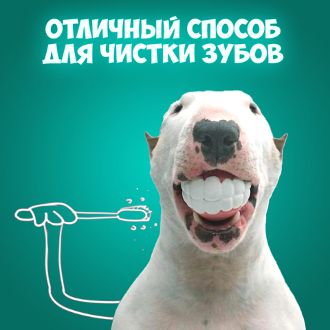 Карточка