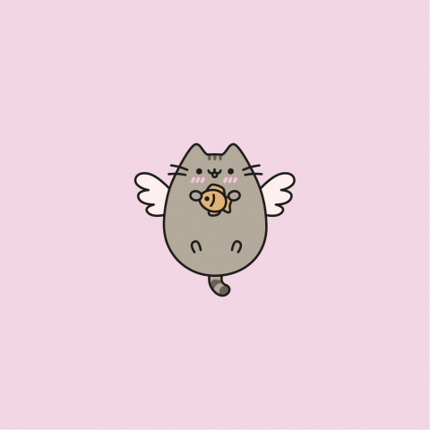 Кот