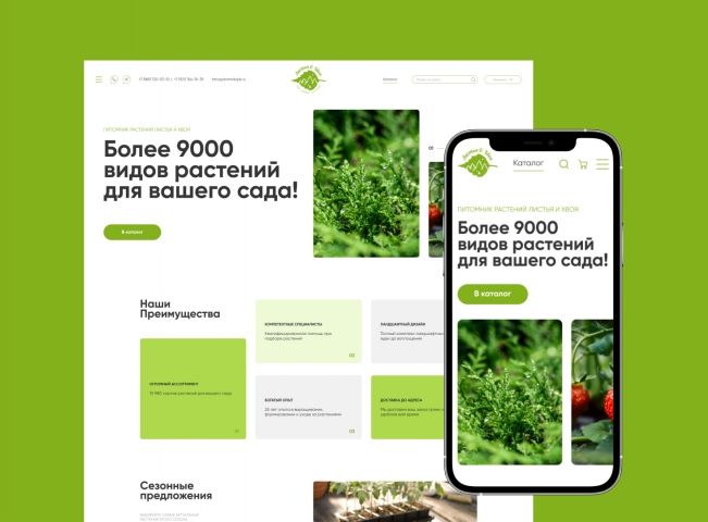 Дизайн сайта для питомника растений: каталог, карточки товаров и страницы кейсов