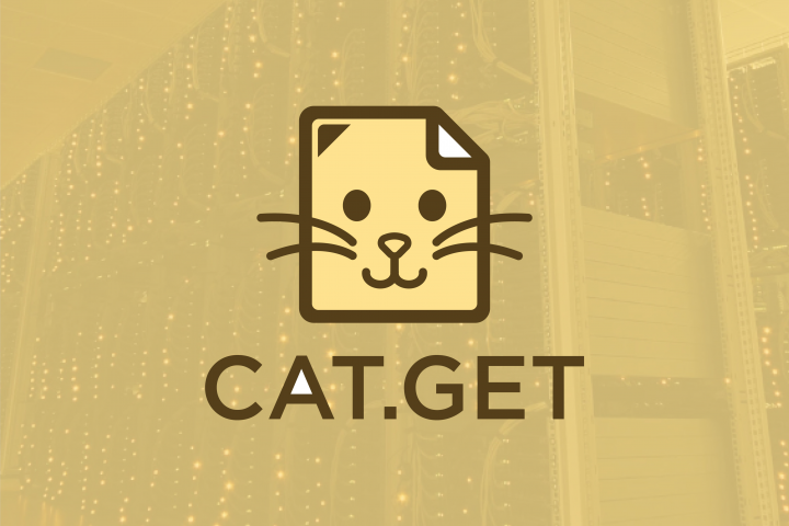 Логотип "Cat.Get"