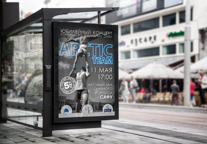 Постер "Arctic Team"