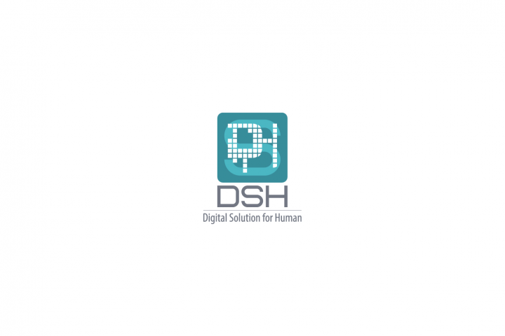 Логотип DSH