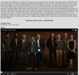 Описание на английском American Crime season 1