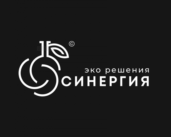 СИНЕРГИЯ