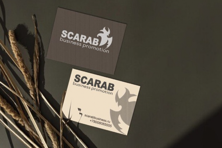 Логотип для компании SCARAB