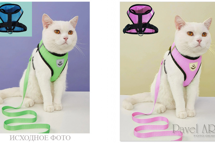 Обработка фото. Изменение цвета объектов и фона фотографии.