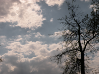 Работа 1654726