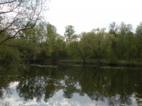 Работа 1644464