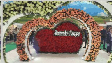 Видеодизайн