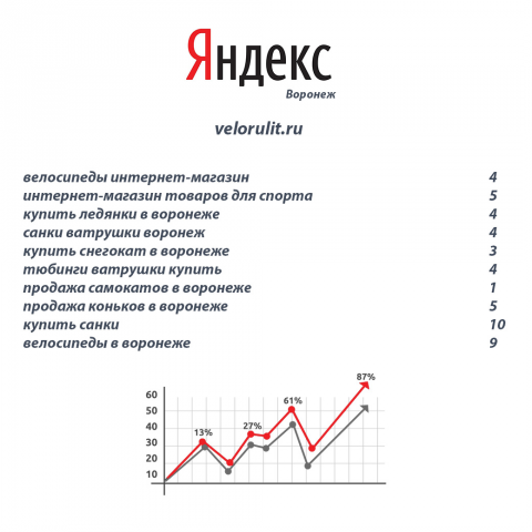 Продвижение интернет-магазина спорттоваров