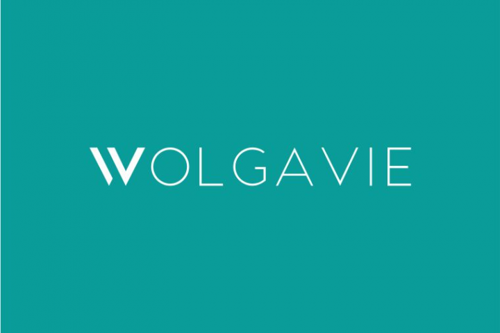 Логотип Wolga