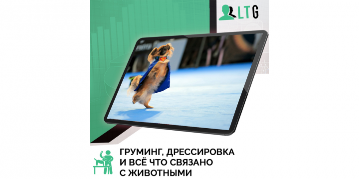 Лиды для груминга / Оплата только за лиды