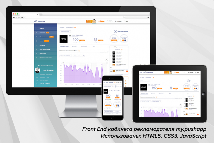 Front End личного кабинета my.pushapp (HTML5, CSS3, JavaScript)