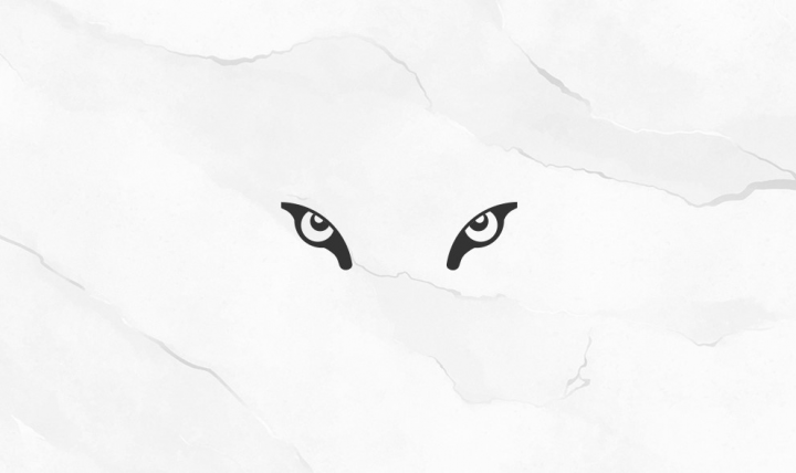 Meta brrrand  личный бранд