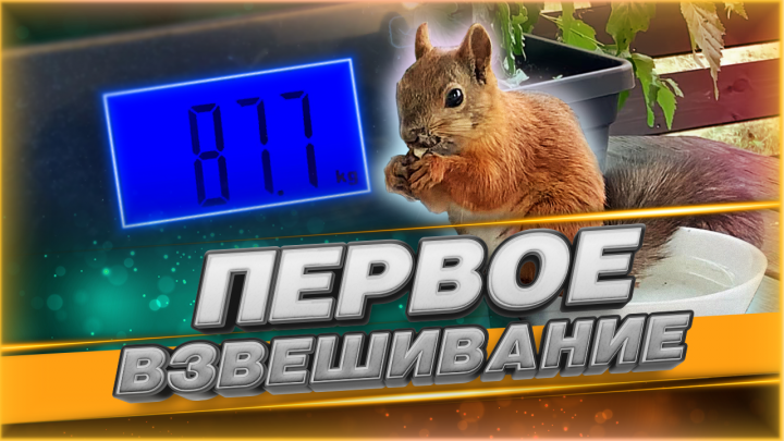 Превью