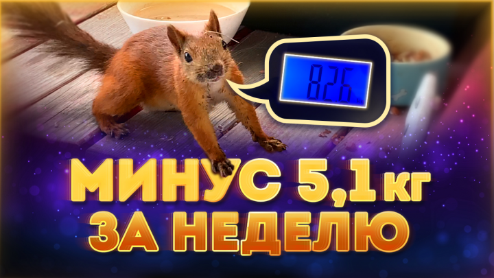 Превью