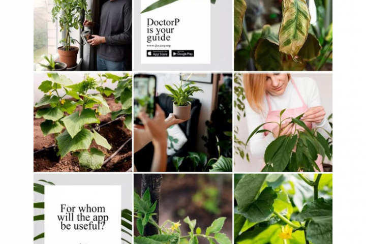Приложение DoctorP, Eng