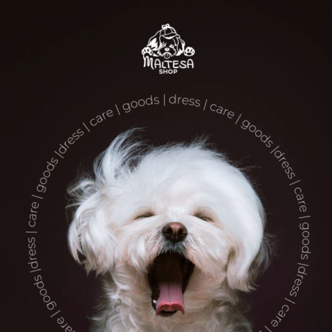 Работа 4271679