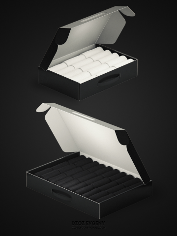 Case
