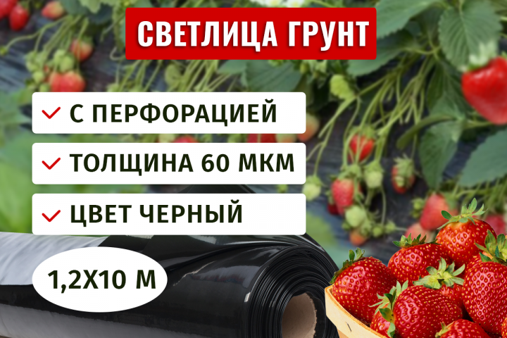 Главный слайд карточки