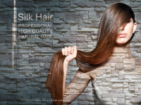 Дизайн для Silk Hair
