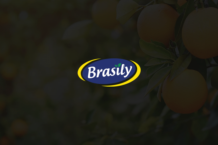 Логотип Industrial | Brasily