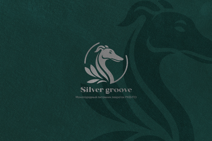 Silver groove | Монопородный питомник левреток РКФ/FCI