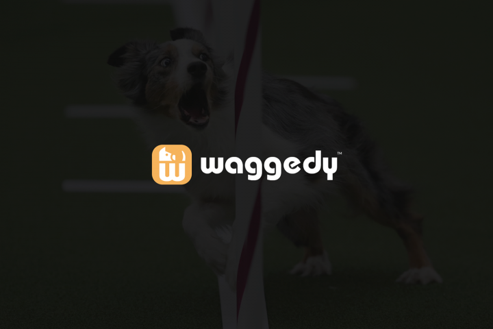 Waggedy | Бренд био-добавок для собак