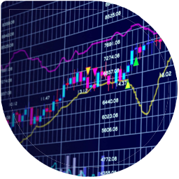 BINAROPT (Trader Options). Создание сайта на Битриксе