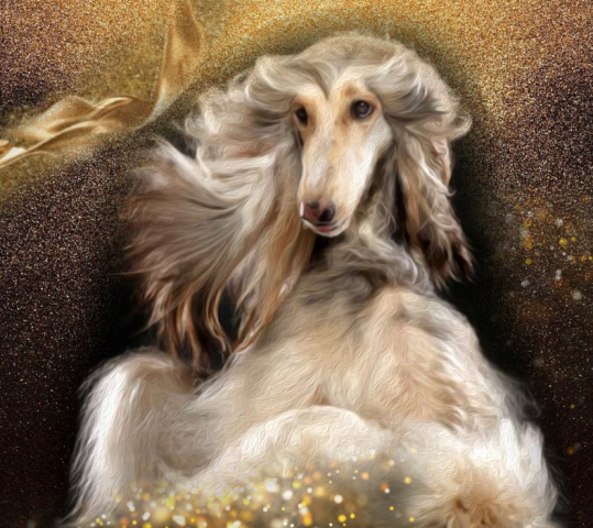 Золотой пёс