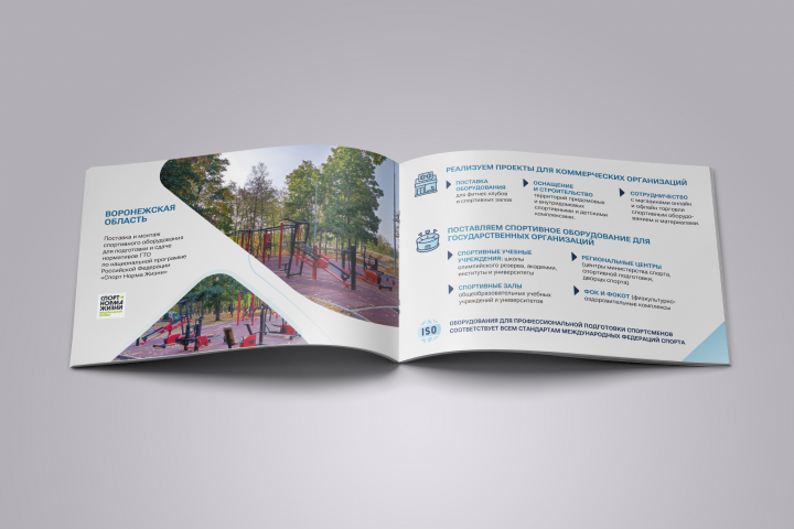 Стандарт спорт презентация